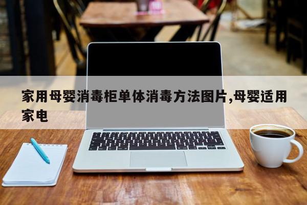 家用母婴消毒柜单体消毒方法图片,母婴适用家电