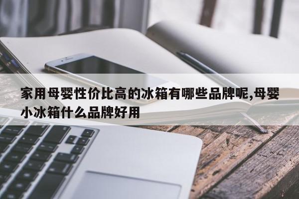 家用母婴性价比高的冰箱有哪些品牌呢,母婴小冰箱什么品牌好用