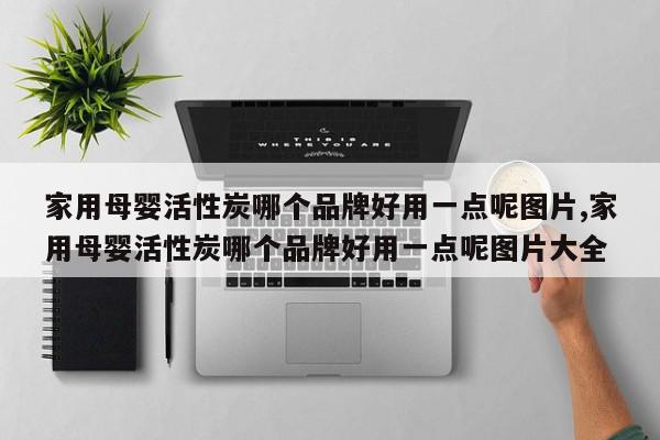 家用母婴活性炭哪个品牌好用一点呢图片,家用母婴活性炭哪个品牌好用一点呢图片大全