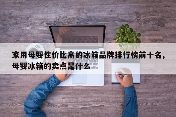 家用母婴性价比高的冰箱品牌排行榜前十名,母婴冰箱的卖点是什么