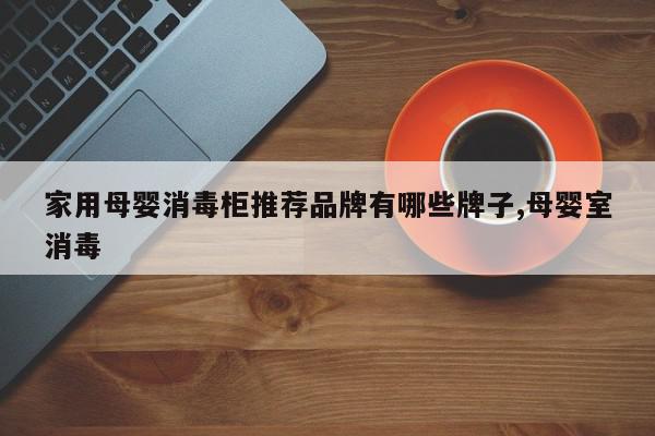 家用母婴消毒柜推荐品牌有哪些牌子,母婴室消毒