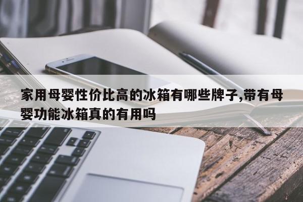 家用母婴性价比高的冰箱有哪些牌子,带有母婴功能冰箱真的有用吗