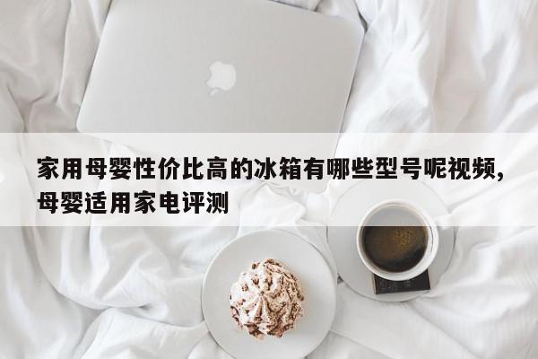 家用母婴性价比高的冰箱有哪些型号呢视频,母婴适用家电评测