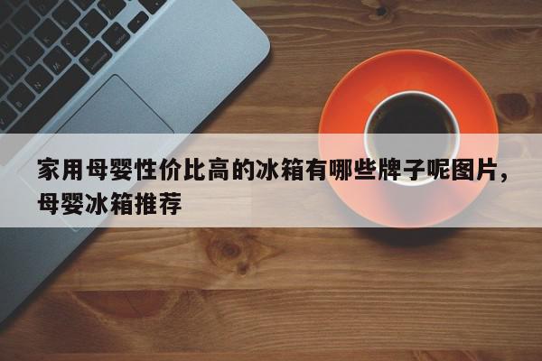 家用母婴性价比高的冰箱有哪些牌子呢图片,母婴冰箱推荐